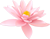 【倚梅听香】叶落专栏