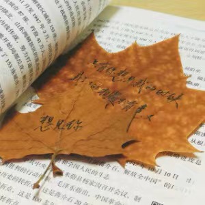 微信图片_20250501191909.jpg