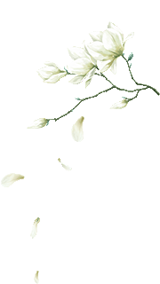 JOSLDn1xIWme6PO.thumb.1000_0.gif