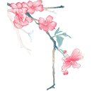 花.gif