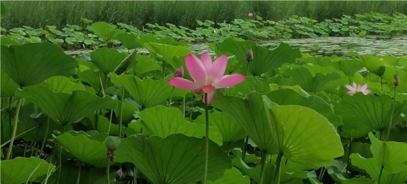 QQ_1722824069968（2222）.png