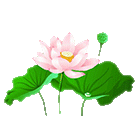 Image_1175657552959698.gif
