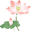 清莲