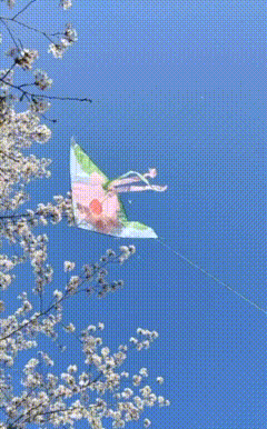 QQ图片20250507214952.gif