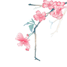Image_1175653563054595.gif
