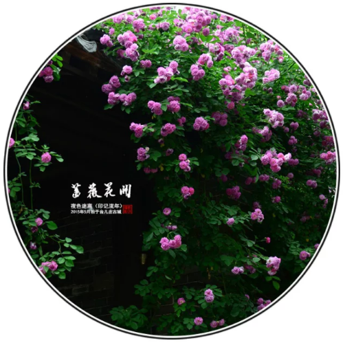 QQ图片20250509205603.png